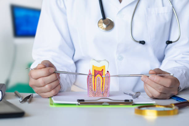 Best After-Hours Dental Trauma Care in New Market, VA